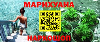 крисы Владимир