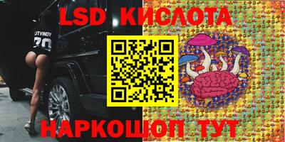 крисы Владимир