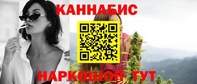 крисы Владимир
