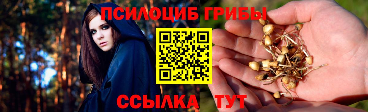 Псилоцибиновые грибы мухоморы Алейск